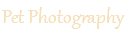 Pet Photography